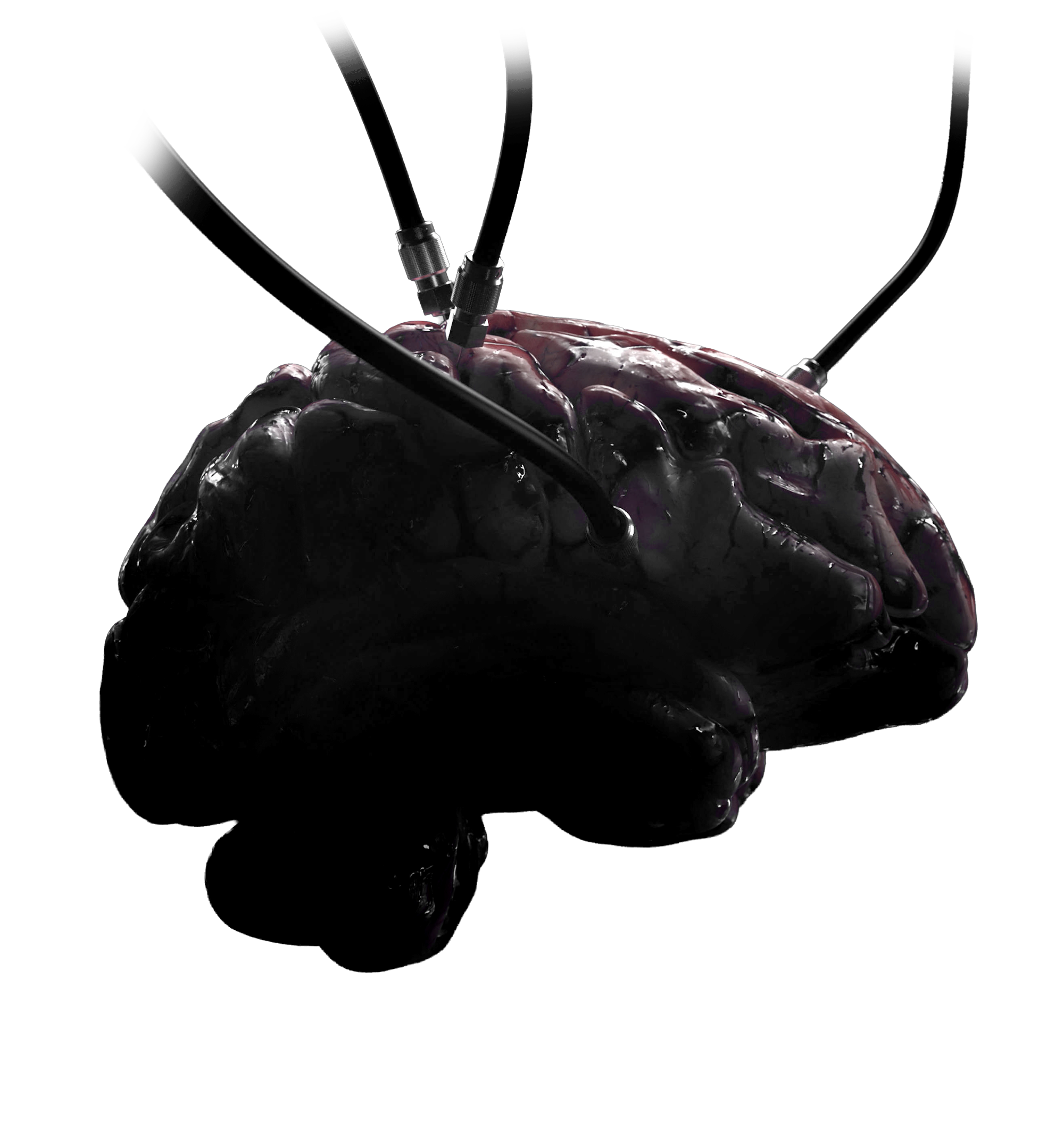 Brain connected to wires